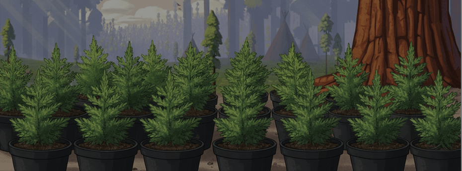 1000 of Sequoias absorb during life time