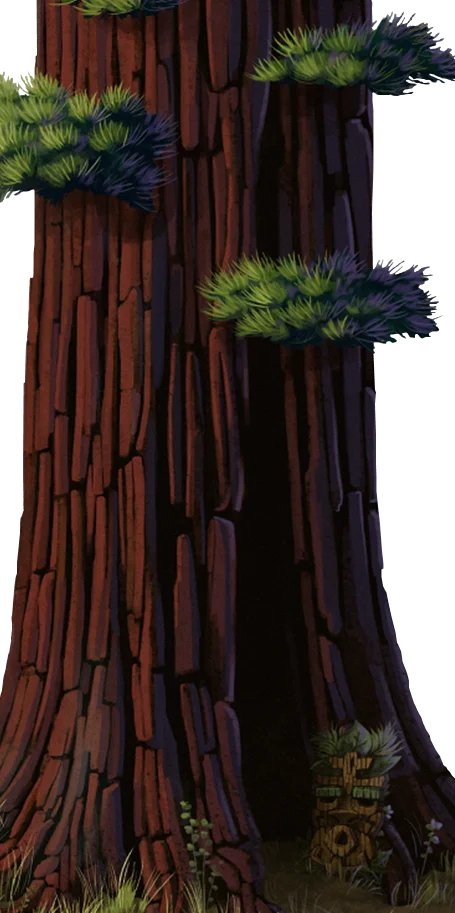 Different Trees planted