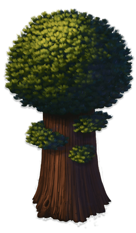 1000 of Sequoias absorb during life time