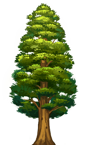 1000 of Sequoias absorb during life time